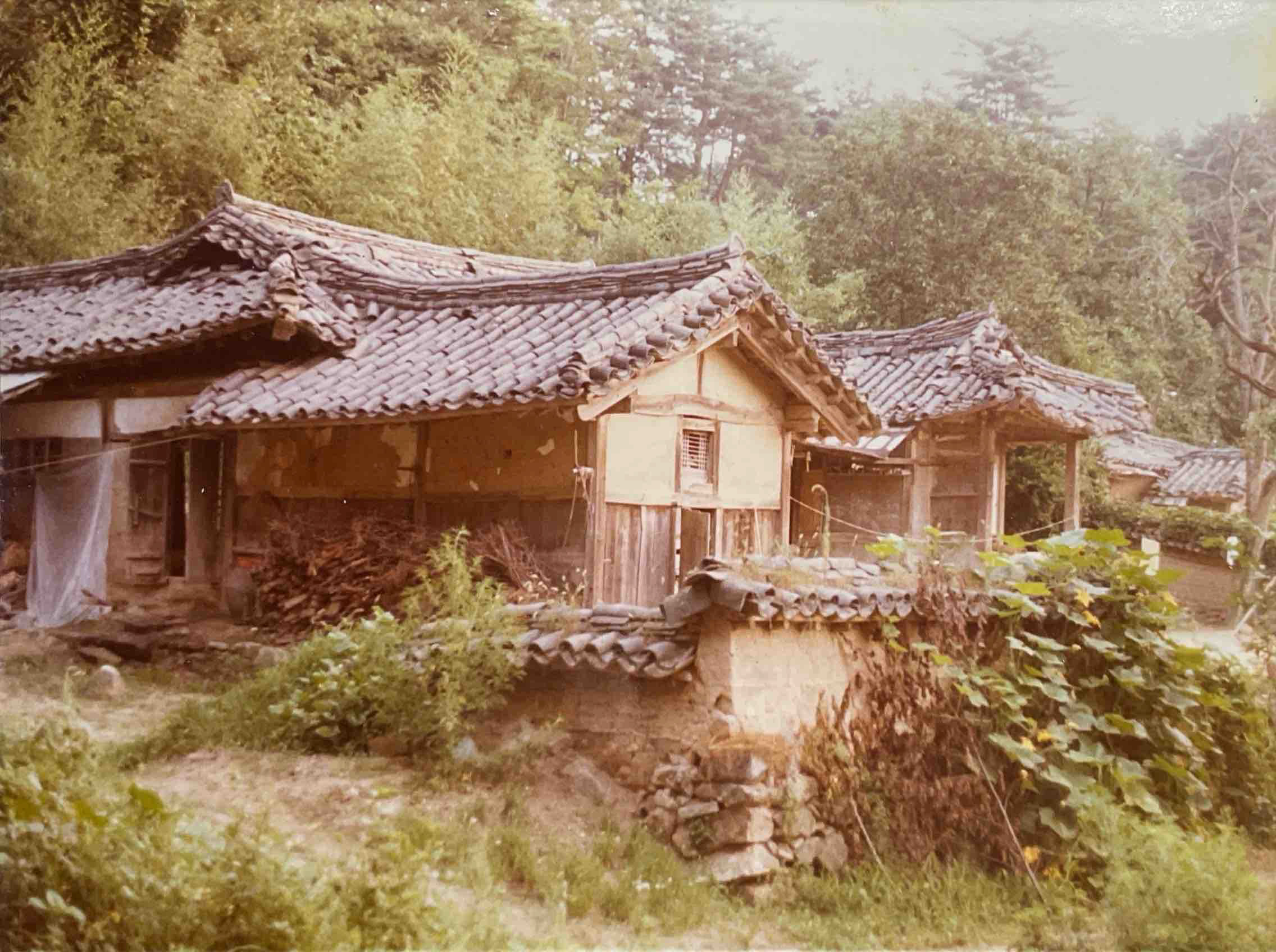 1986년의 김택준 가옥